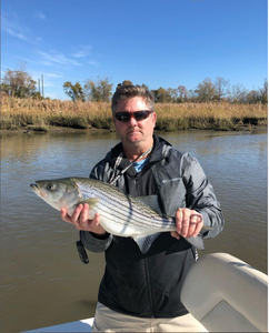 Unveiling top Tybee Island charters, Bass fishing